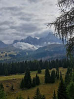 20250913_155411000_iOS 1.jpg